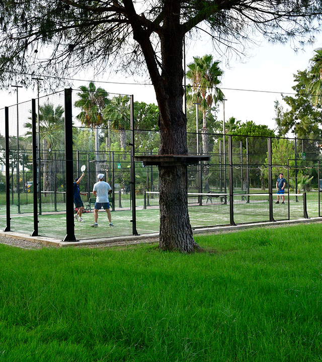 alibey-padel-tennis-2
